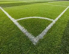 小蜘蛛本赛,季进球,除哈兰德外,完美体育官网,WMSPORTS,完美体育中国官网,WMSports体育平台,完美体育服务