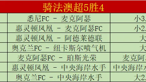 新赛季首战争议判罚引关注，中超裁判李海新面临内部处分可能